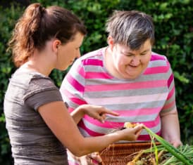 Gardening / House And Yard Maintenance