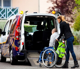 Assist In Transport