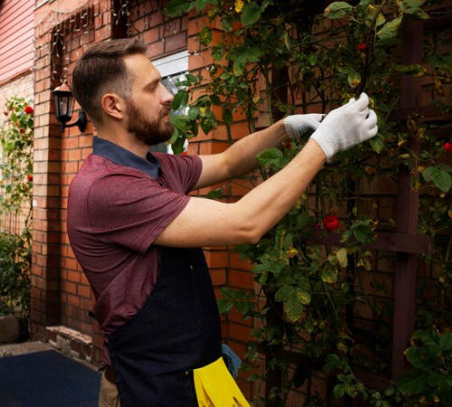 home-repair-yard-maintenance-img01