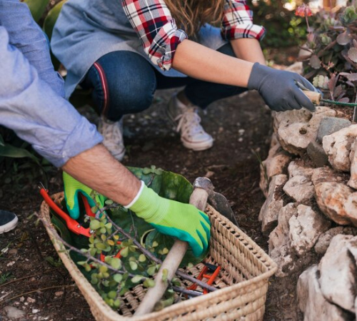 home-repair-yard-maintenance-img03