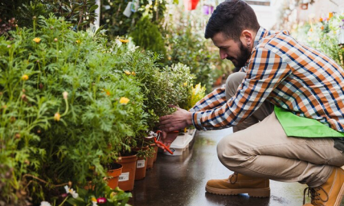 gardening-house-and-yard-maintenance-img